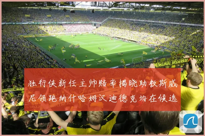 独行侠新任主帅赔率揭晓助教斯威尼领跑纳什哈姆汉迪德克均在候选之中