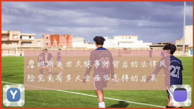 詹姆斯高尔夫球事件背后的法律风险究竟有多大会面临怎样的后果