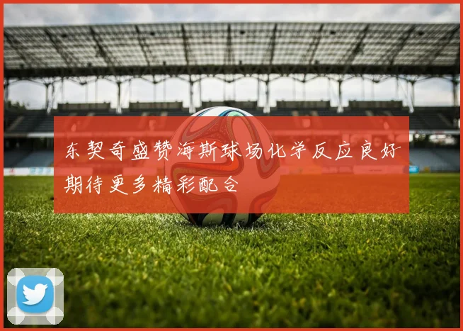 东契奇盛赞海斯球场化学反应良好期待更多精彩配合